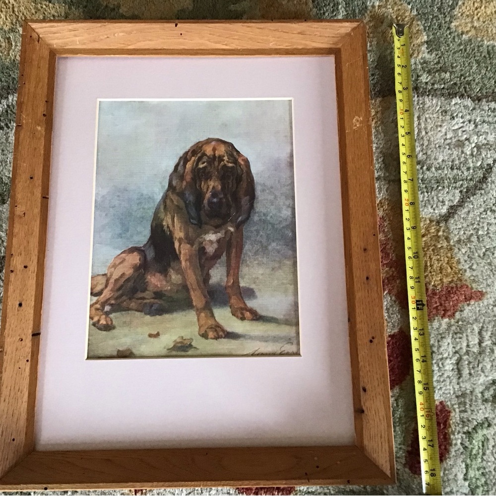 Matted Bloodhound print
